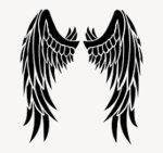 FAŁŁEN ANGEL$$