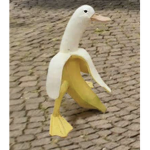 Jag_Ray