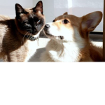WOOF WOOF AND MEOW MEOW