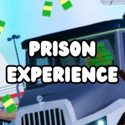 Prison Experience