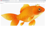 the king fish