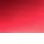 Dxnt MXRDER