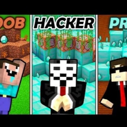 Noob vs Pro vs Hacker Obby