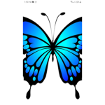 Diva butterflies