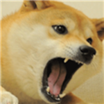 Team Doge! :D
