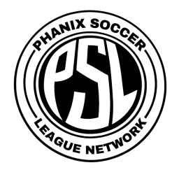 PSL | SOCCER PITCH