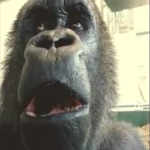 Distinguished Gorillas