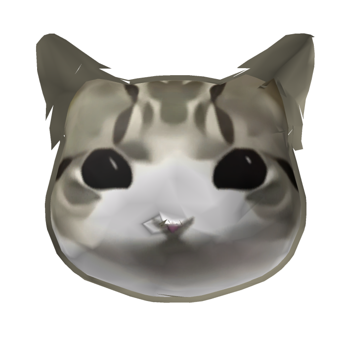 Cute Cat