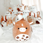 ~Stuffed animal fans~