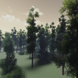 RTX Forest
