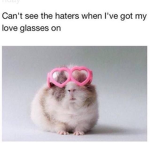Memes In The Chat?
