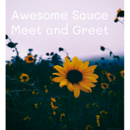 Meet N Greet V3