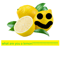 Lemon Land Hangout
