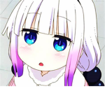 Sempai neko