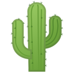 cactus20 Group Thumbnail