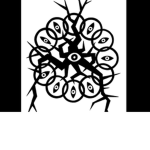 The Anomalies & The Strange