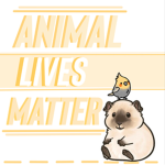 An Animals Life
