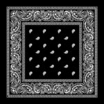 Z2/ZONE2