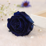 BIue_rose