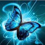 Magical Butterfly