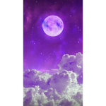 TeamMoon-w-
