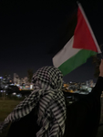 -~<palestine>~-