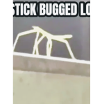 StickBug Group Lol