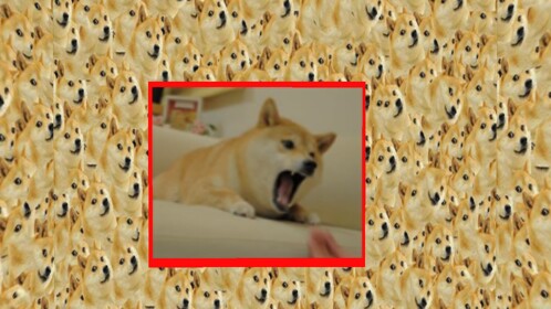 Doge Simulator [???]