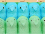 the batt