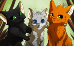 Thunderclan jayfeather