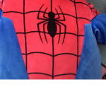 The spider man fan hangout