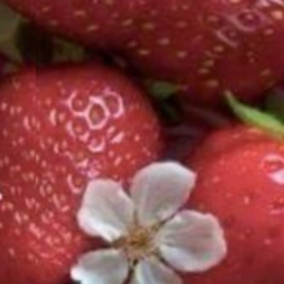 🍓....❤️....🍓