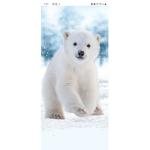 Bear sanctuary