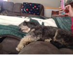 Maggs and bell bell
