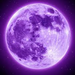 - The Moon Family -