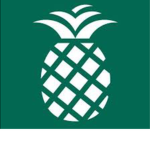 Pineapple hospital