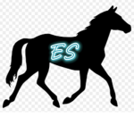 ~Evergreen Stables~