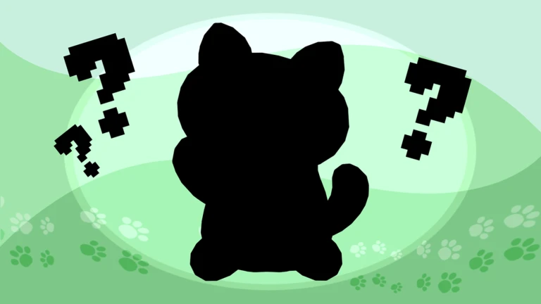 Next Update