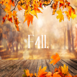 F4ll.