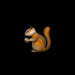 The crazy squirrel group