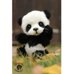 The PandaKittyCorn Squad!