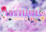 Livvie’s Outlet