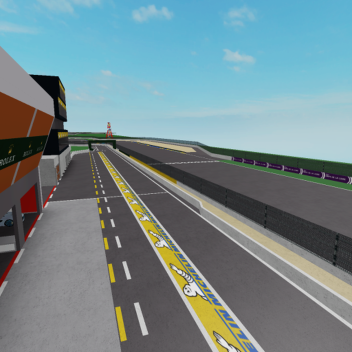 Circuit de la Sarthe [24H of Le Mans]
