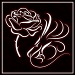 a dragon and a rose