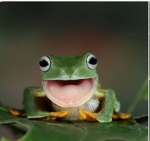 Frogs of greatness