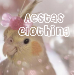 aestas clothing