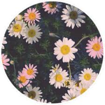 Floral Fandom uwu