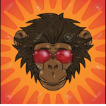 FunnyDumMONKE