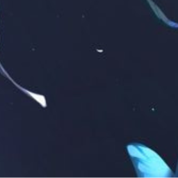 ✩