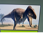 Dinosaurs mania